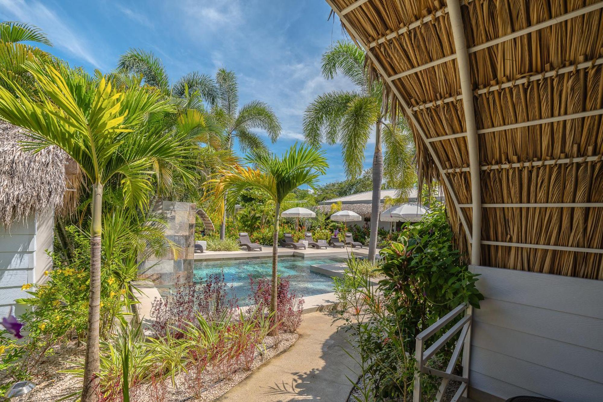 Les Voiles Blanches - Luxury Lodge Tamarindo Room photo